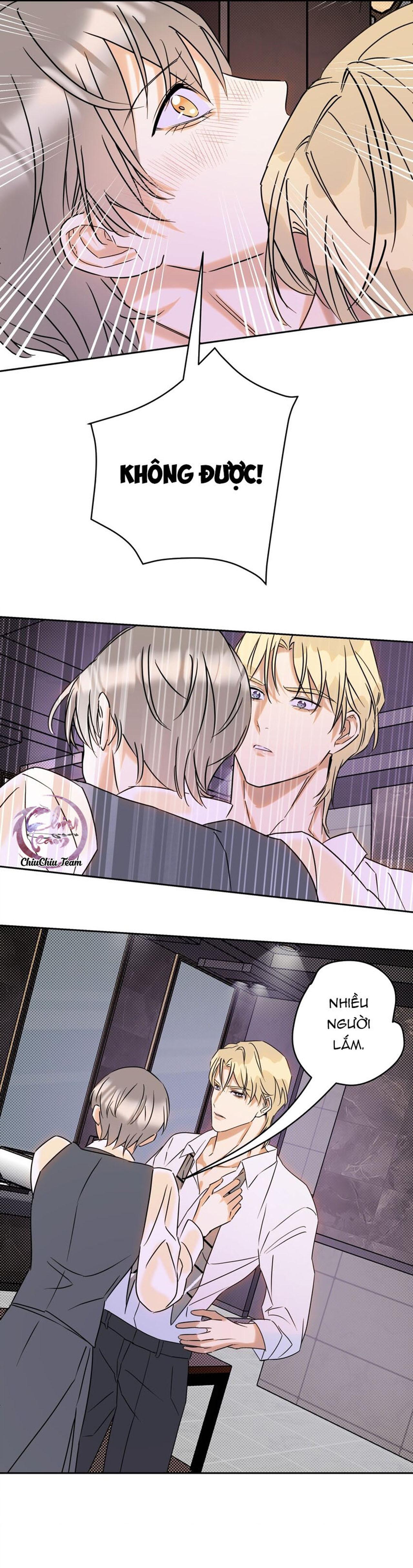 Đọc truyện Anh Trai Rẻ Tiền Của Tôi (END) - Chapter 21