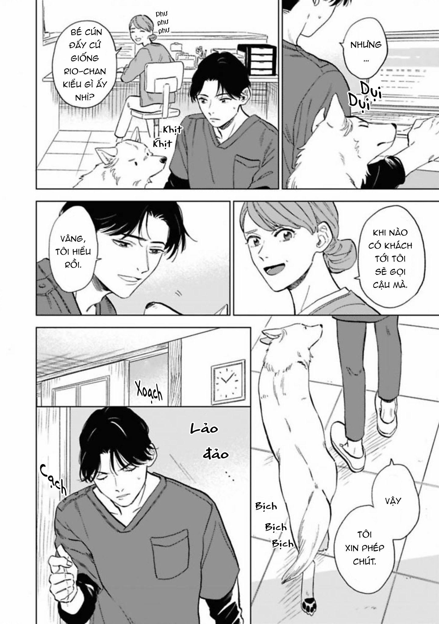 Đọc truyện Lời Tỏ Tình Của Chú Sói - Chapter 5