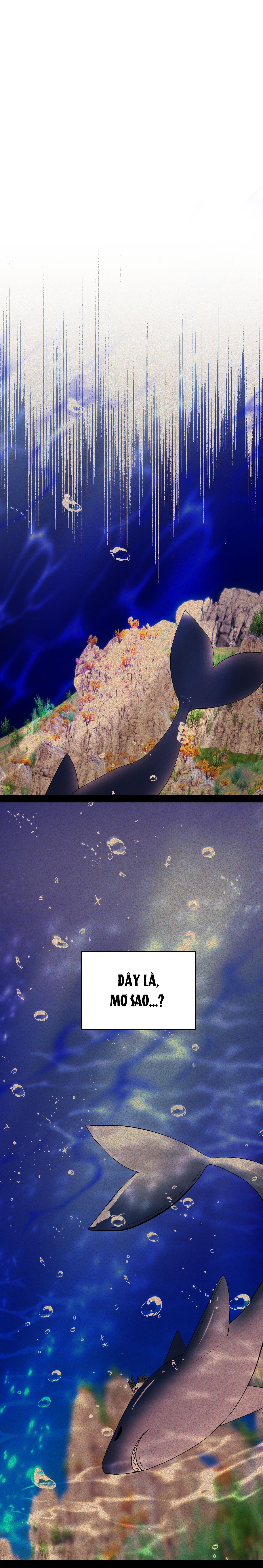 Đọc truyện CÁ MẬP VÀ CÔ DÂU THỎ - Chapter 26