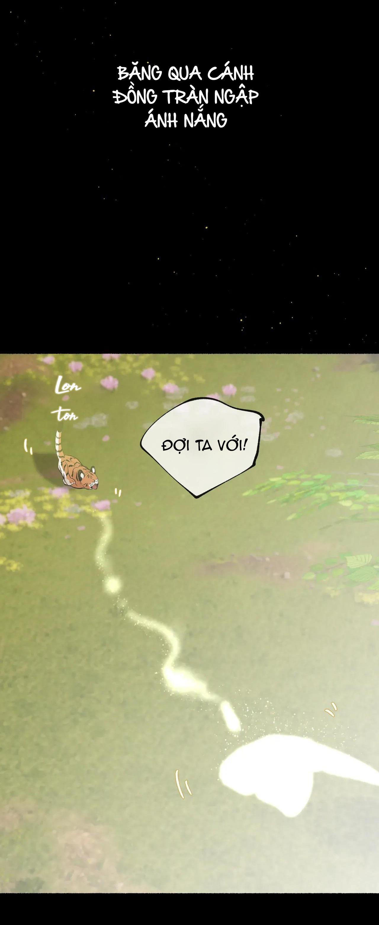 Đọc truyện HỔ NGÀN NĂM - Chapter 52