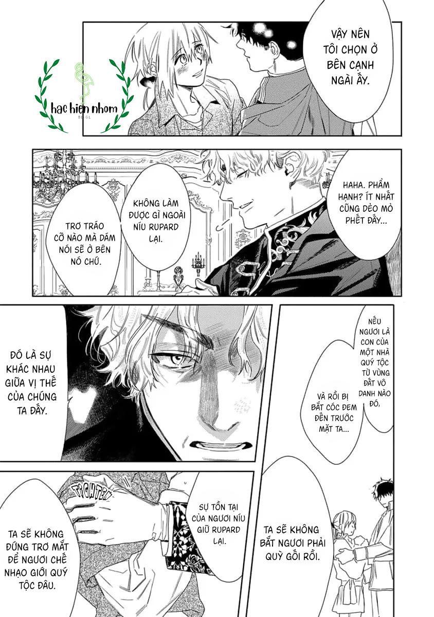 Đọc truyện Hoa hồng dại và những kẻ giả tạo - Chapter 8