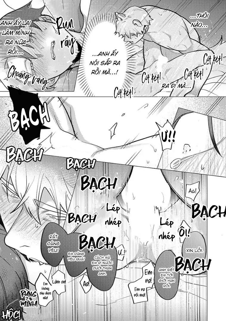 Đọc truyện Ngấu nghiến tôi và cho tôi biết thế nào là yêu - Chapter 6