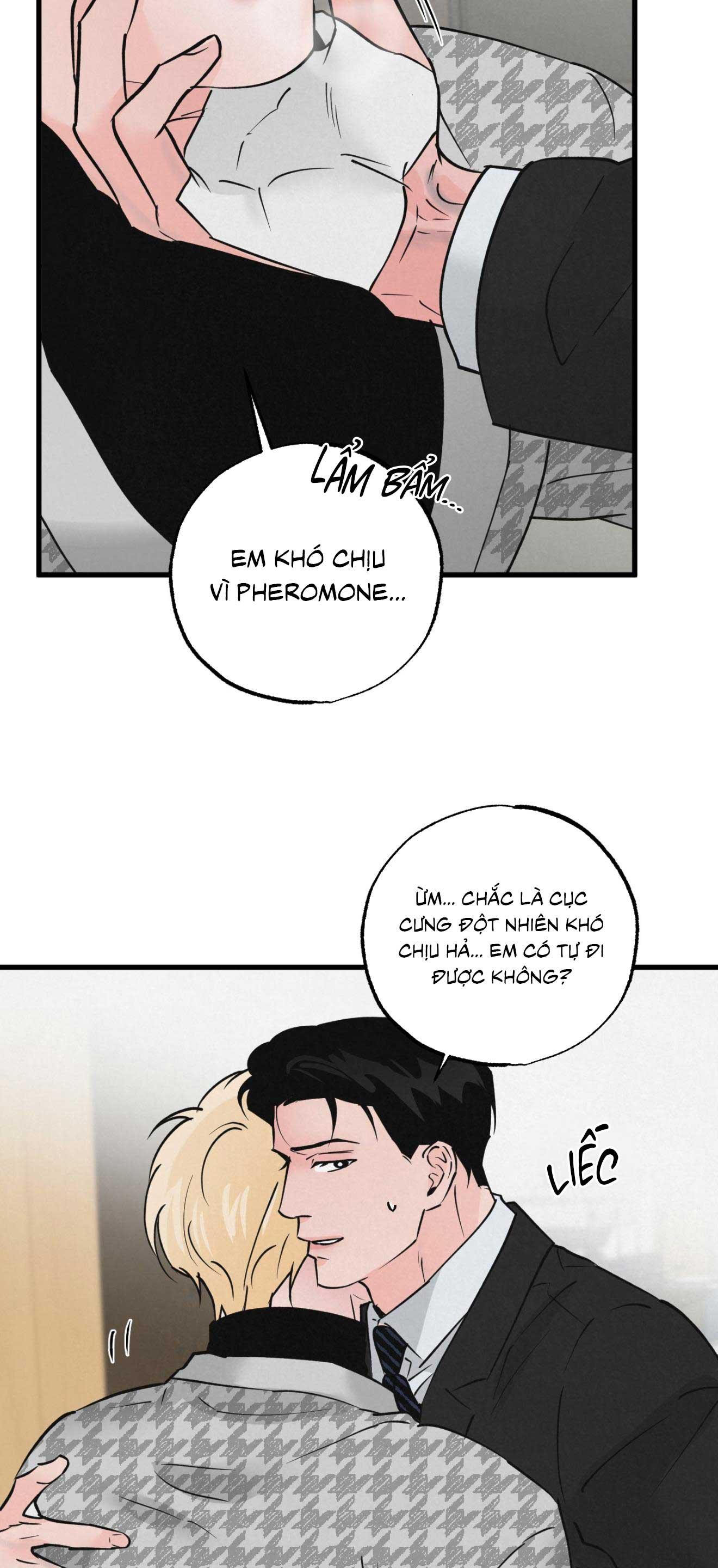 Đọc truyện CẶP ĐÔI HOÀN HẢO - Chapter 33