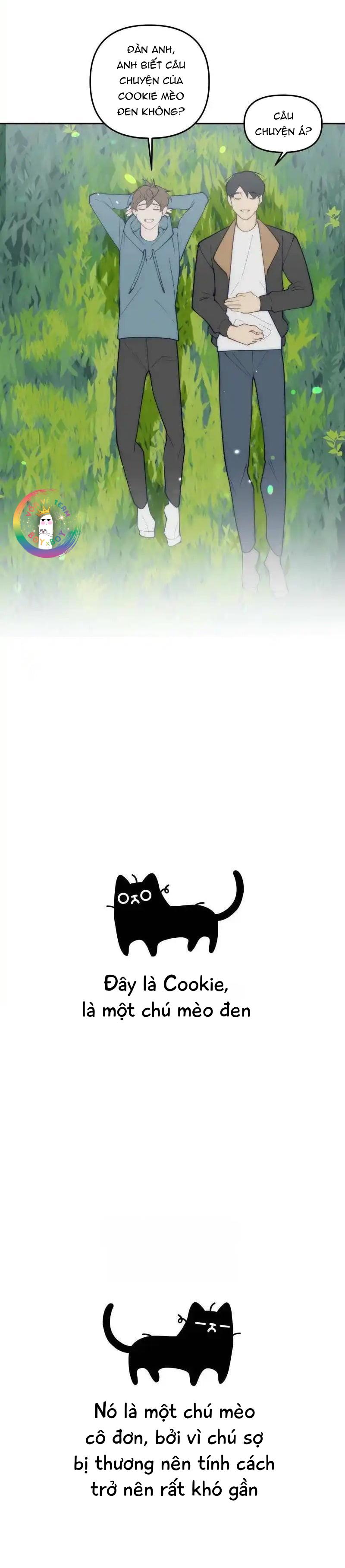 Đọc truyện (END) Đàn Anh Sói Ca Cùng Phòng Của Tôi - Chapter 79