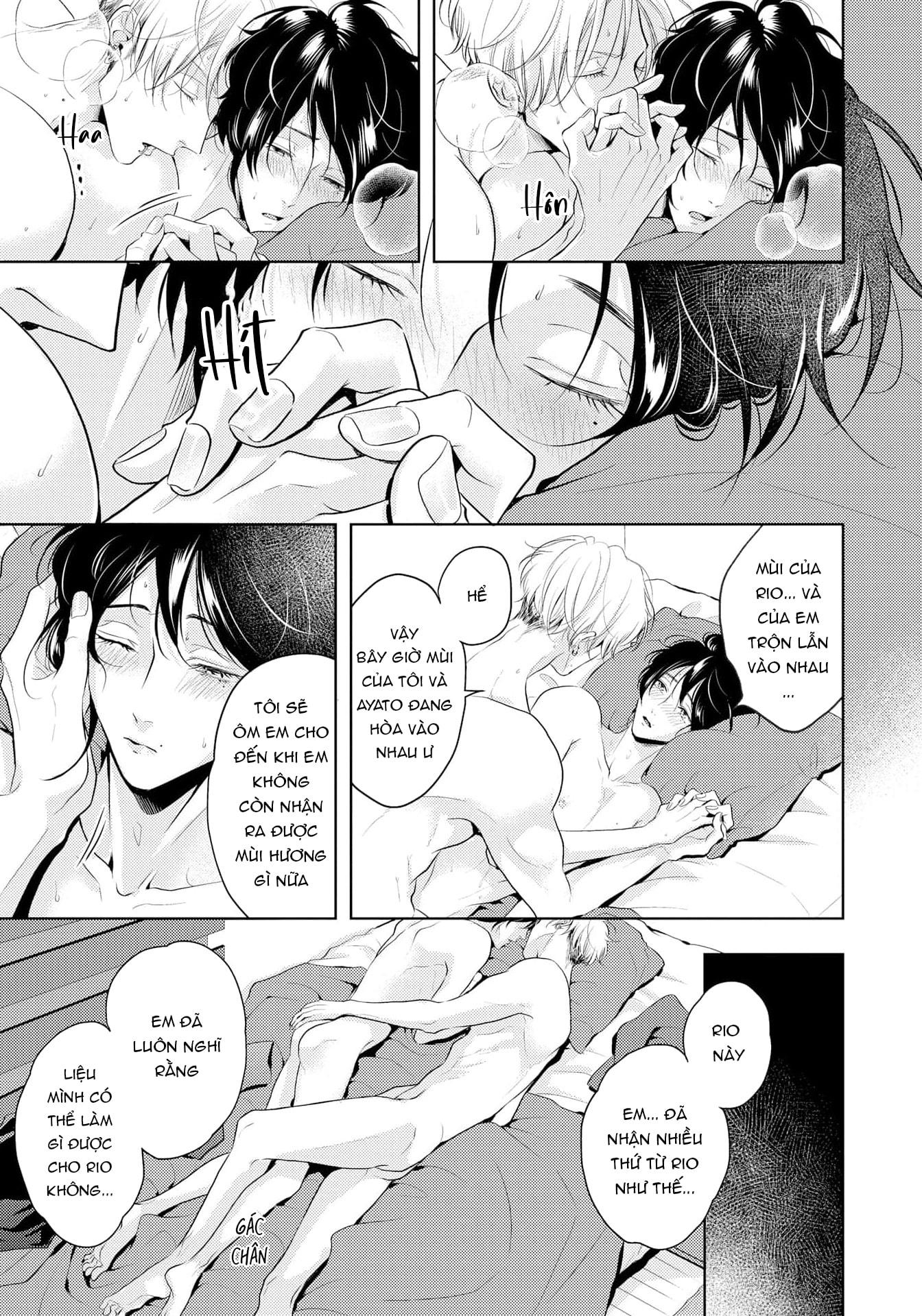 Đọc truyện Mùi Hương Cháy Bỏng - Chapter 12
