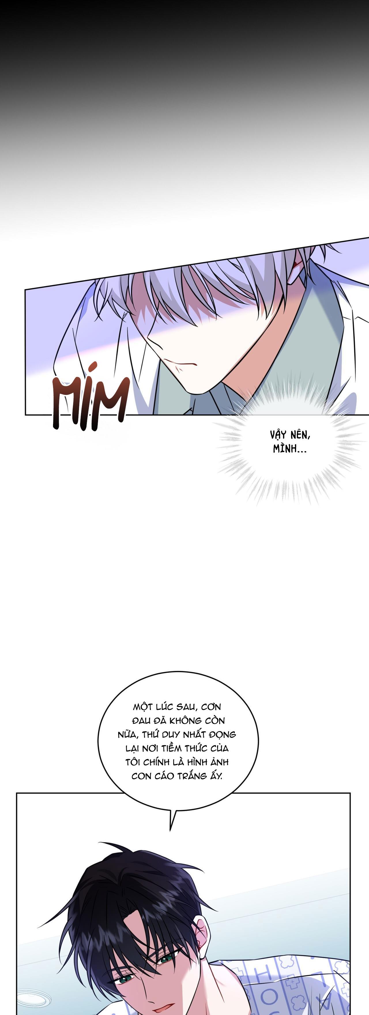 Đọc truyện NƯỚC UỐNG TÌNH YÊU CỦA CÁO PLIN - Chapter 17