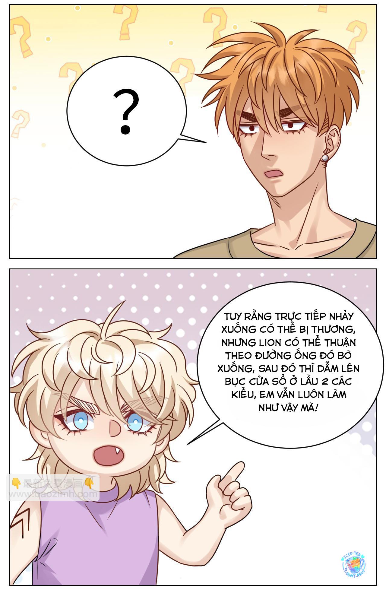 Đọc truyện Ký túc xá nam phòng 303 - Chapter 221