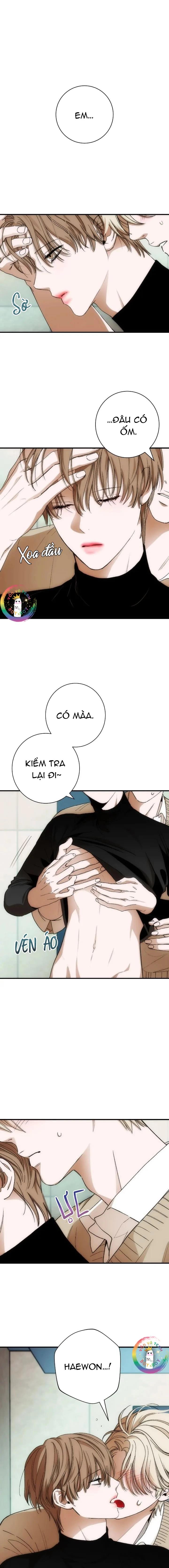 Đọc truyện Chìm Trong Rung Cảm - Chapter 7