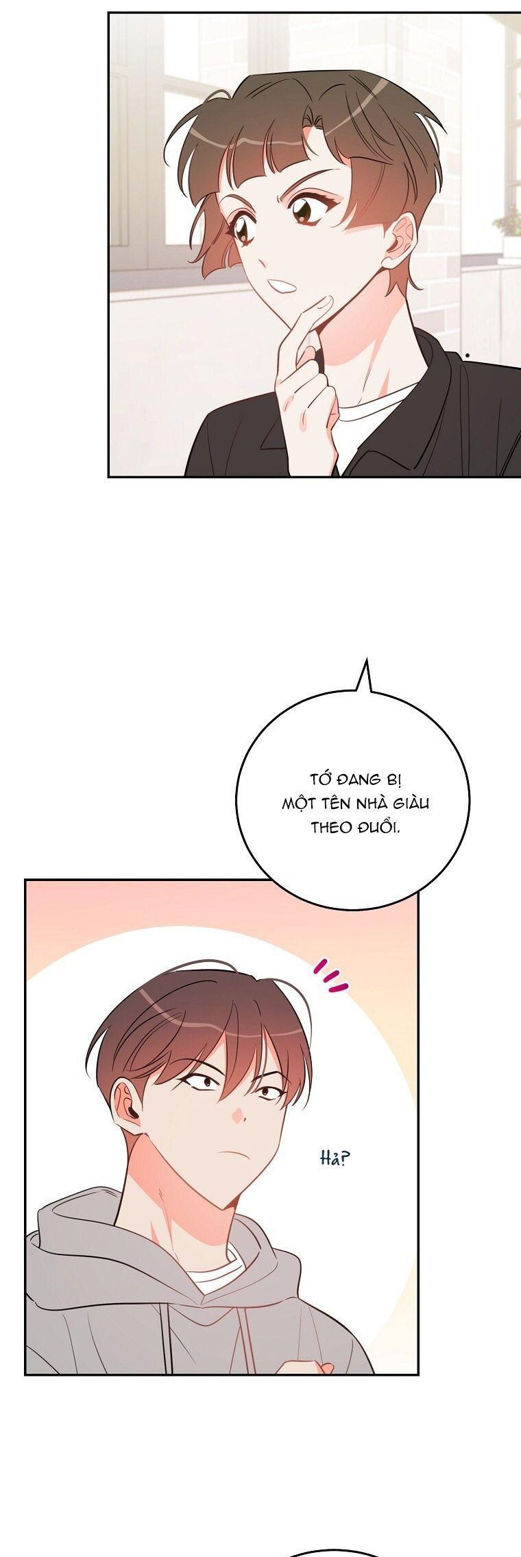 Đọc truyện Có Chuyện Gì Xảy Ra với Sự Nổi Tiếng Của Tôi Thế? - Chapter 74