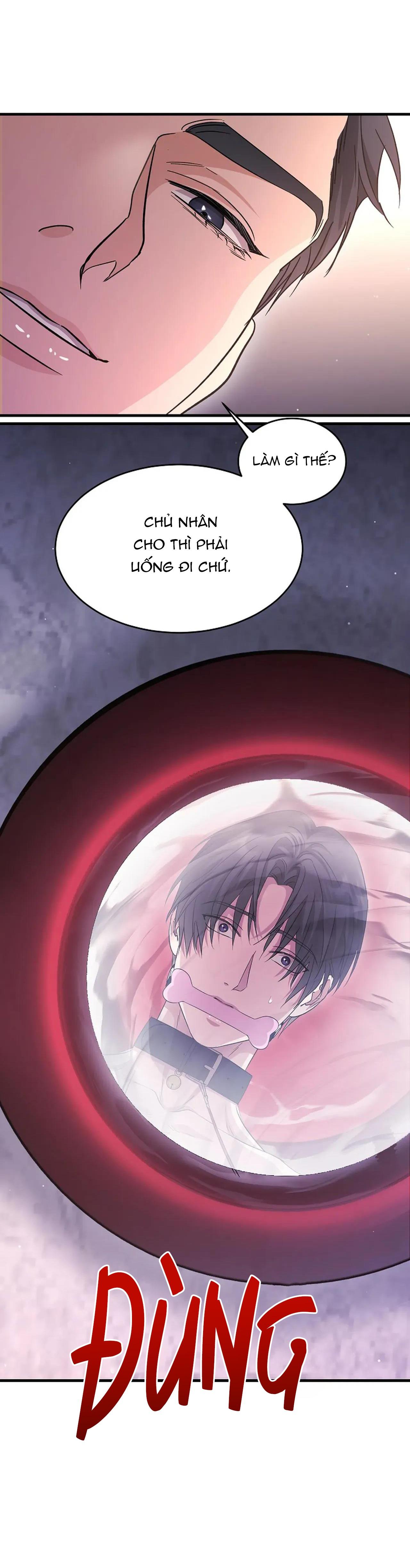 Đọc truyện RIVER OF BONDAGE - Chapter 8