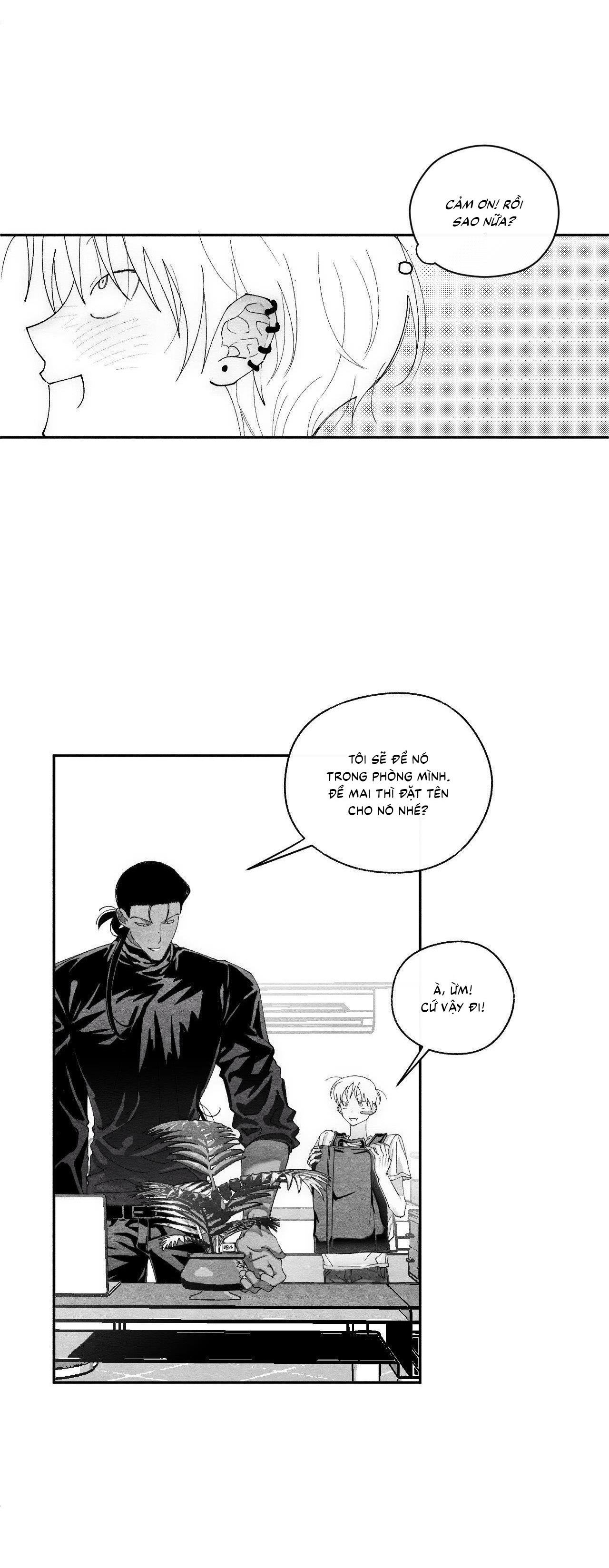 Đọc truyện  Vóc Dáng Toàn Mỹ - Chapter 24