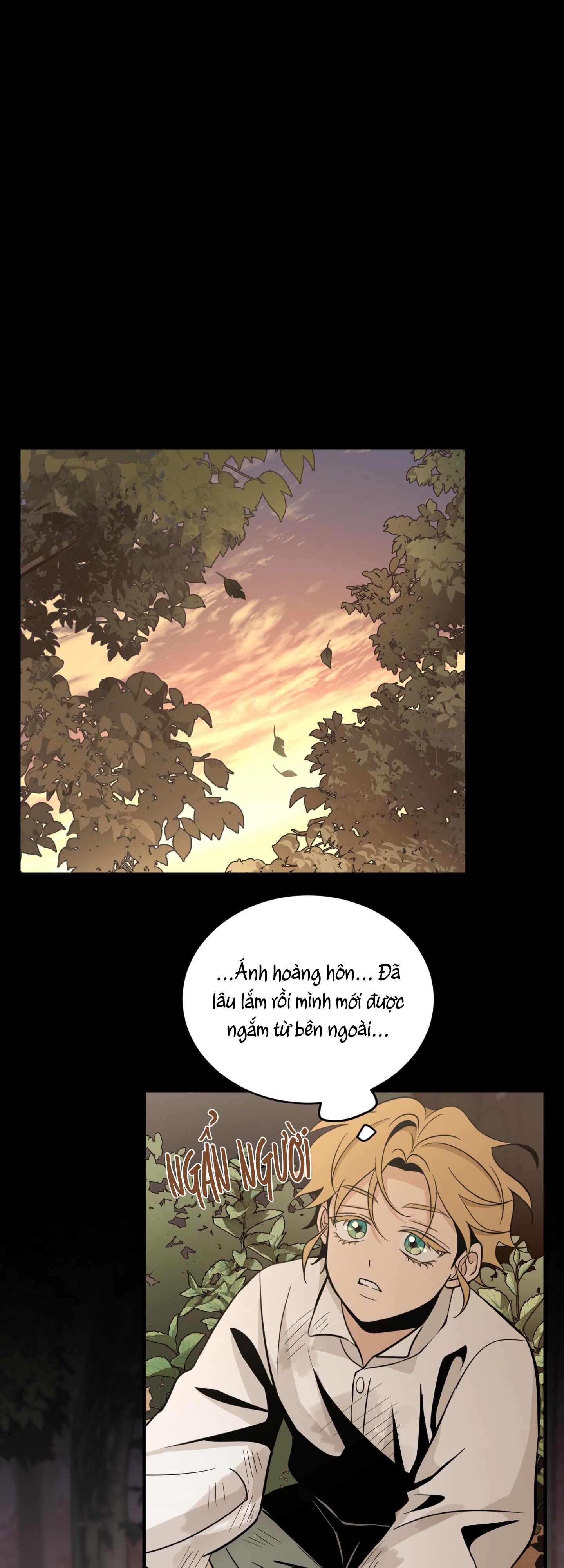 Đọc truyện LOÀI HOA KHÔNG TÊN - Chapter 2