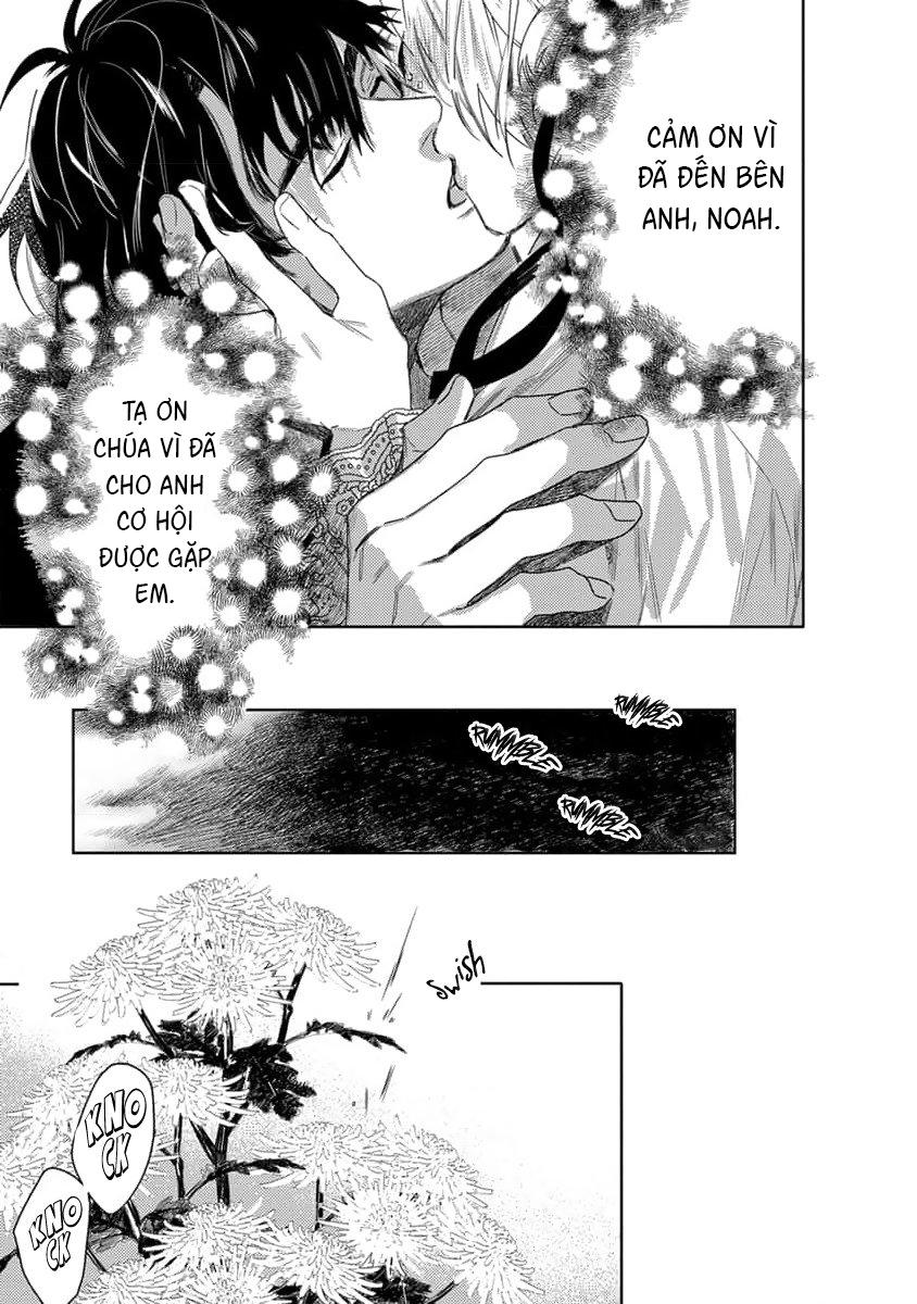 Đọc truyện Hoa hồng dại và những kẻ giả tạo - Chapter 6