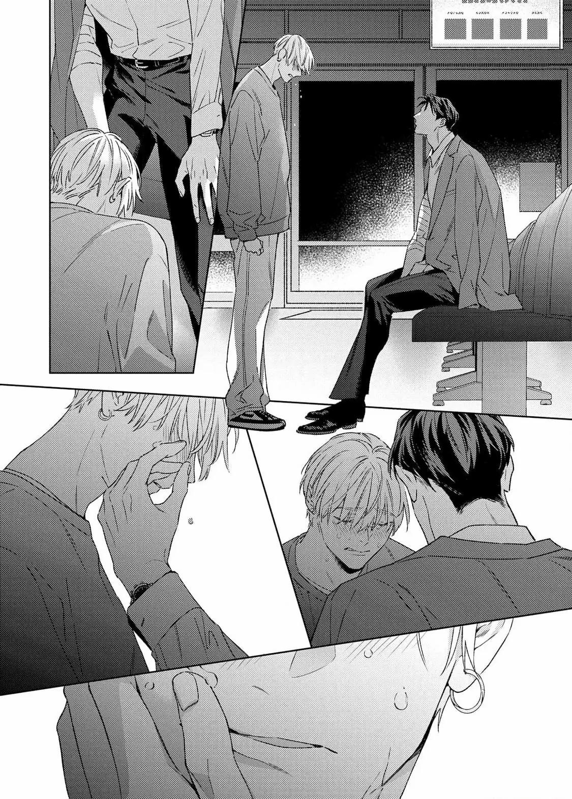 Đọc truyện [Hoàn] Tình Yêu Sau Cánh Gà - Chapter 4