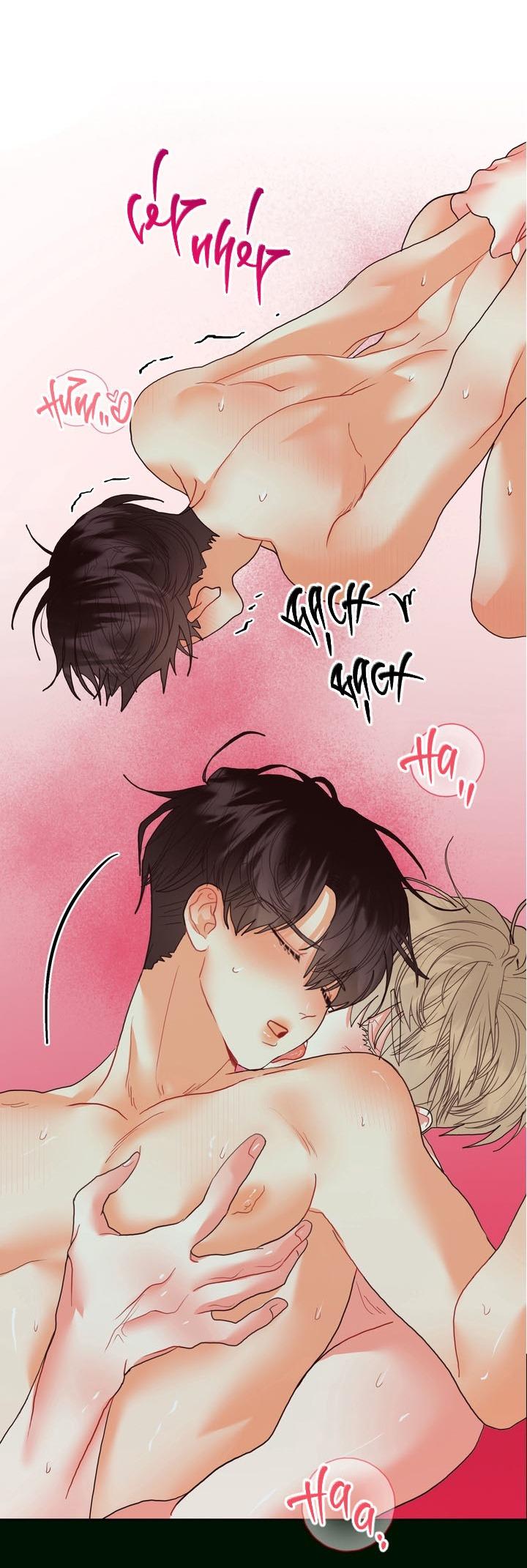 Đọc truyện  Omega Của Anh - Chapter 0