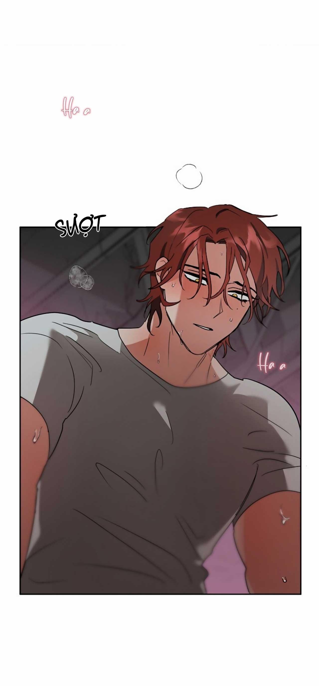 Đọc truyện SÓI GIÀ VÀ CÁO NHỎ - Chapter 5