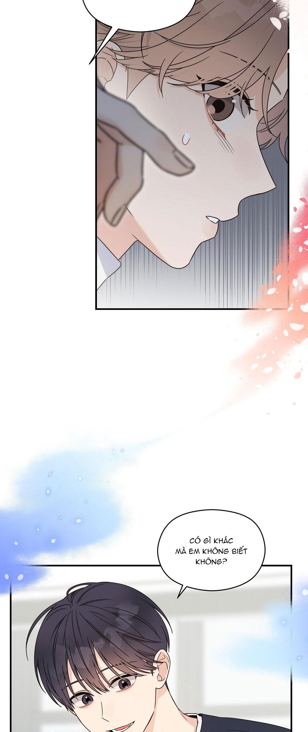 Đọc truyện CHẤN THƯƠNG ALPHA - Chapter 2