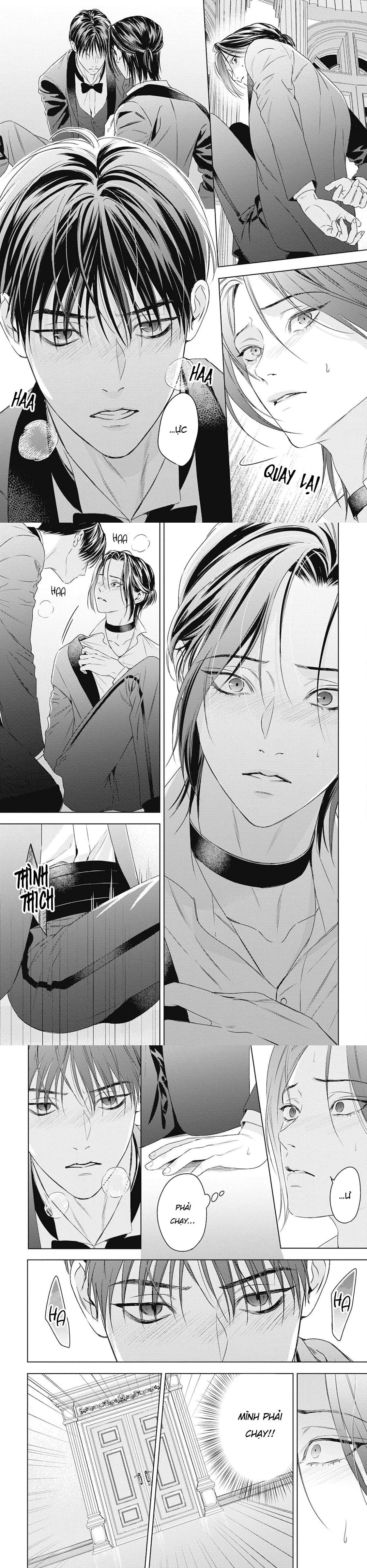 Đọc truyện Hòa thanh dưới ánh nến hoa cùng tình yêu của Omega - Chapter 2