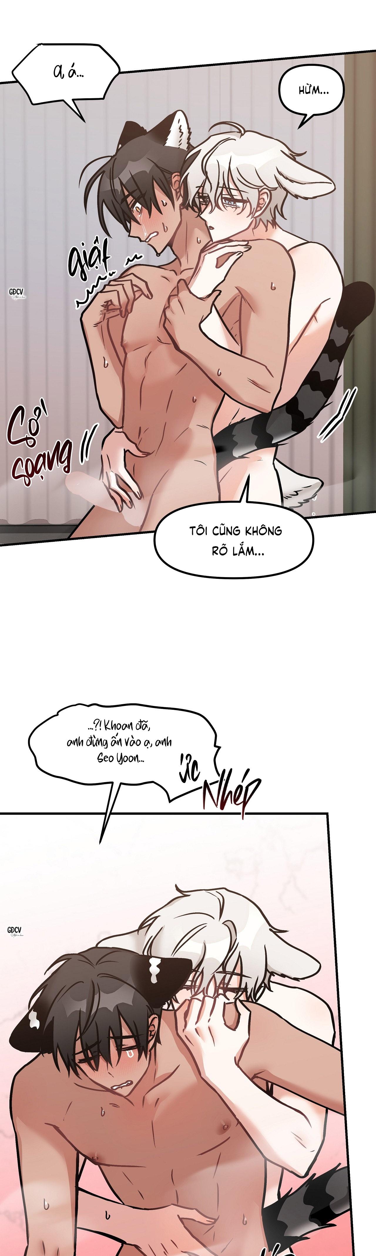 Đọc truyện THƯA NGÀI HỔ, TÔI ĐÃ ĂN RẤT NGON MIỆNG - Chapter 19