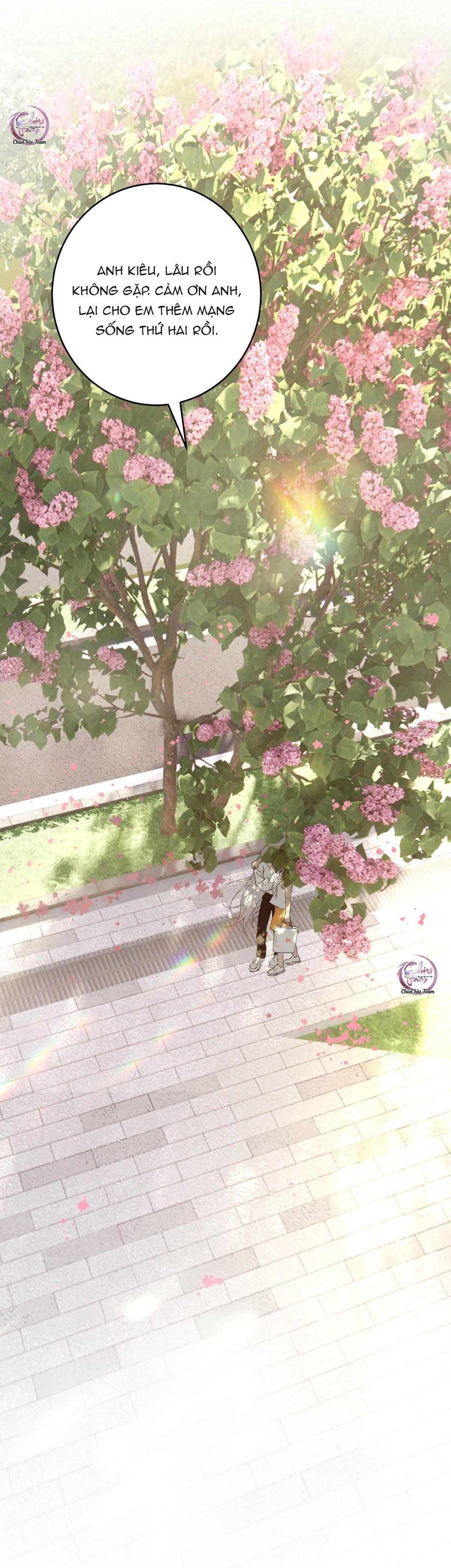 Đọc truyện Mỗi Ngày Đều Muốn Làm Hoàng Tử Ốm Yếu Đội Quần - Chapter 4