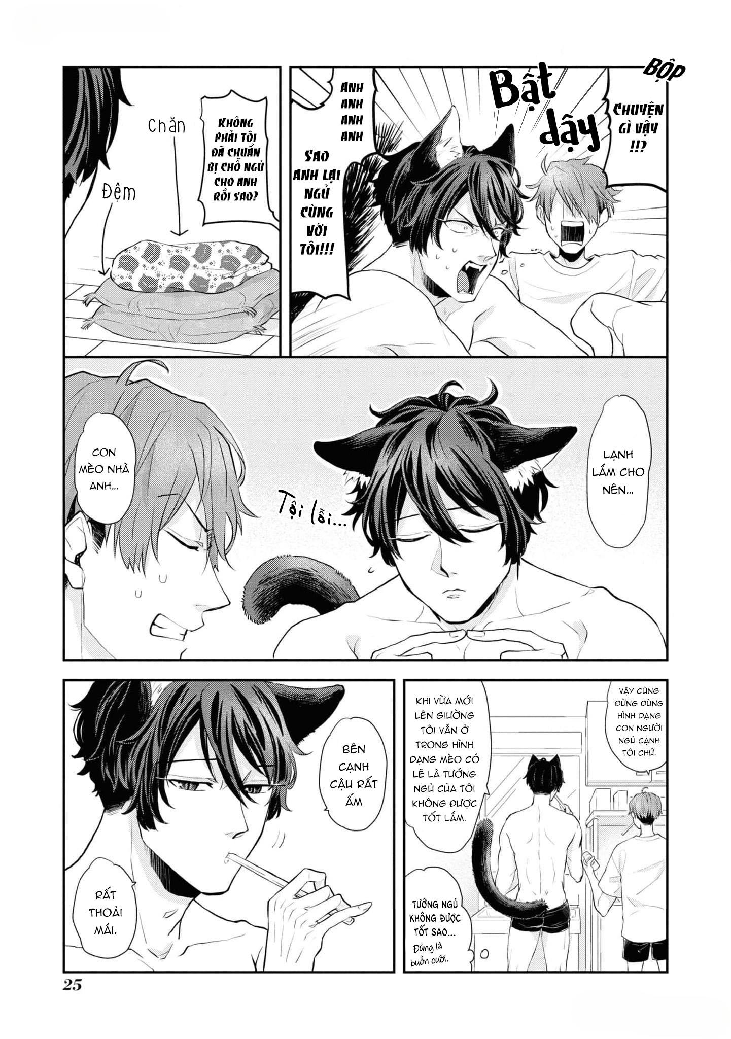 Đọc truyện Chú mèo đẹp trai muốn được Haruta nuôi dưỡng - Chapter 2