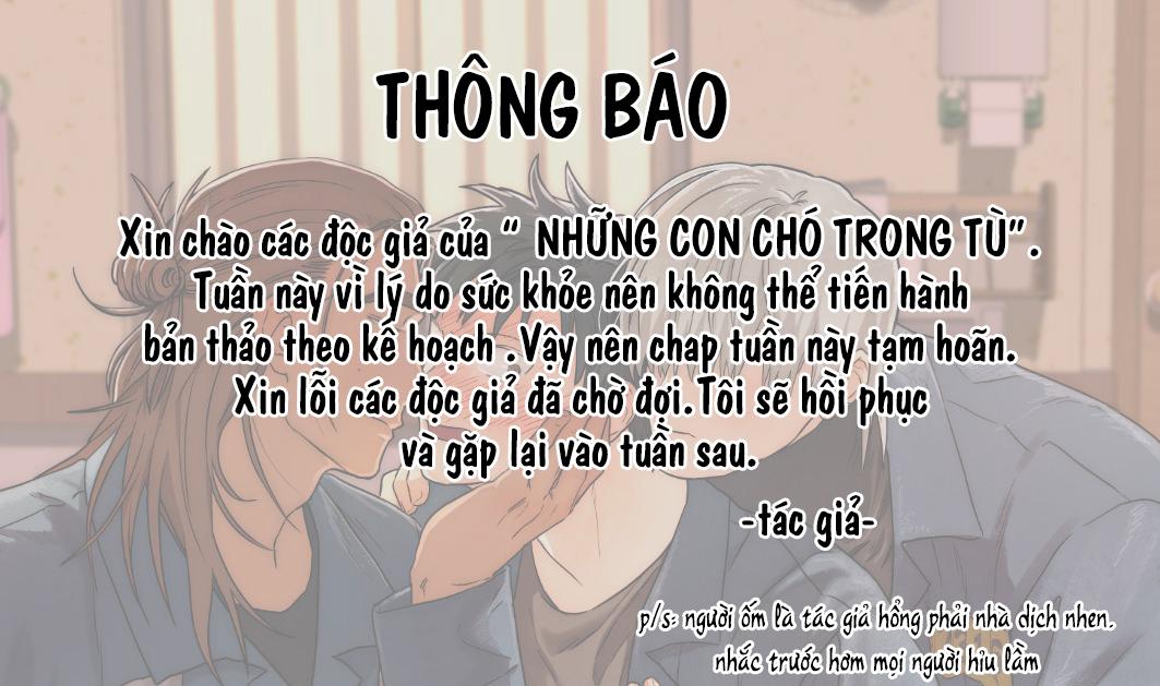 Đọc truyện NHỮNG CON CHÓ TRONG TÙ - Chapter 18.1