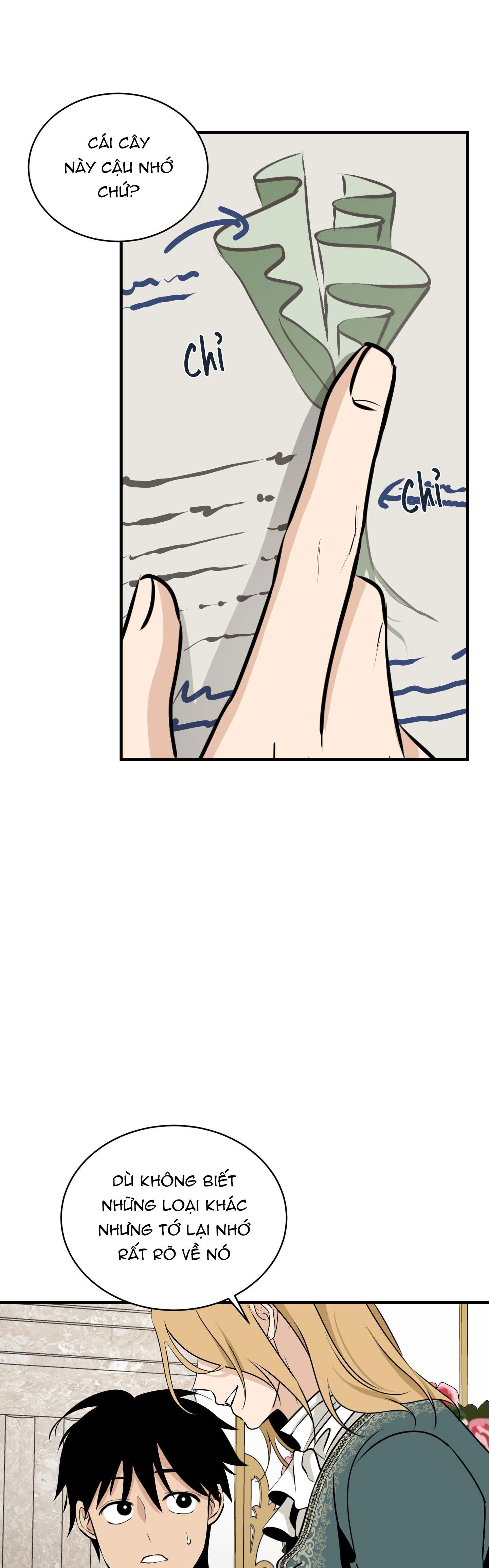 Đọc truyện LOÀI HOA KHÔNG TÊN - Chapter 11