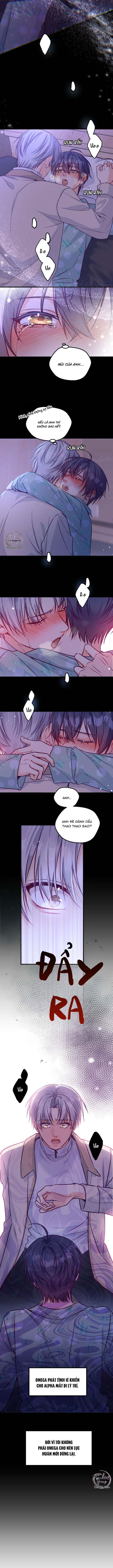 Đọc truyện Người Tình Thế Thân Của Alpha - Chapter 2