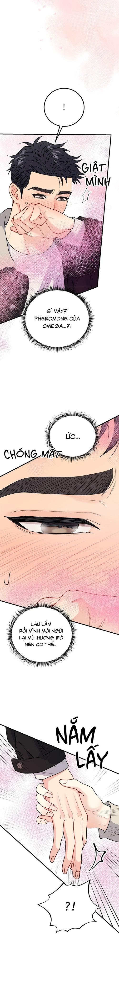 Đọc truyện CẬU KHÔNG PHẢI LÀ GU CỦA TÔI - Chapter 37