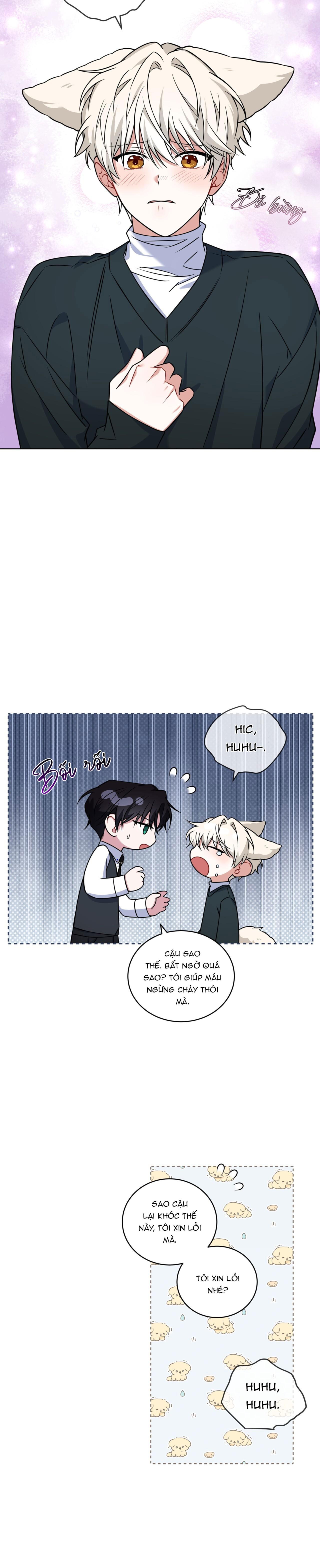 Đọc truyện NƯỚC UỐNG TÌNH YÊU CỦA CÁO PLIN - Chapter 22