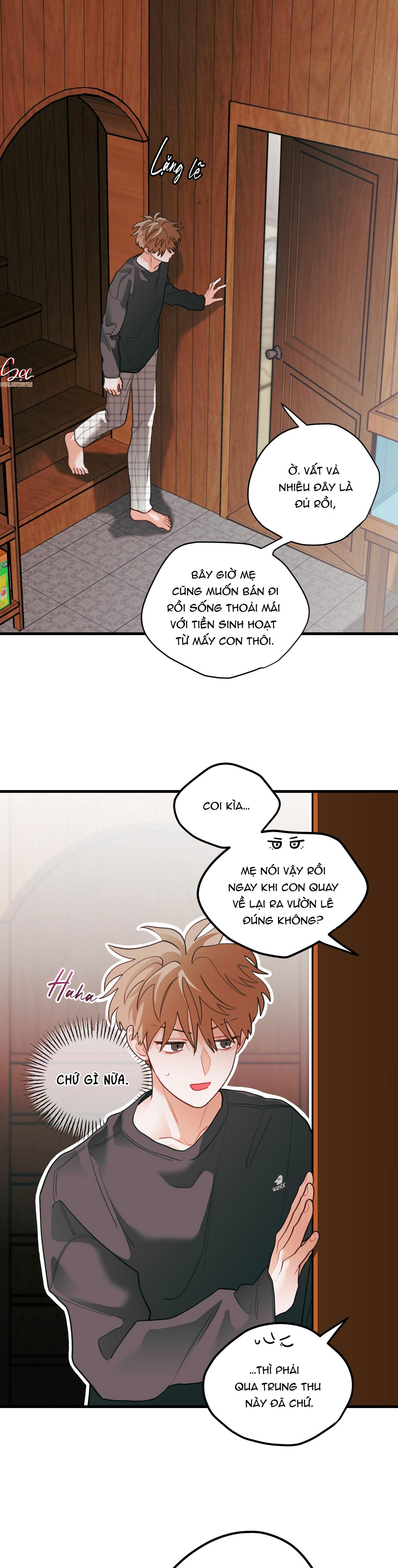 Đọc truyện CHUYỆN TÌNH HOA LÊ NỞ - Chapter 74