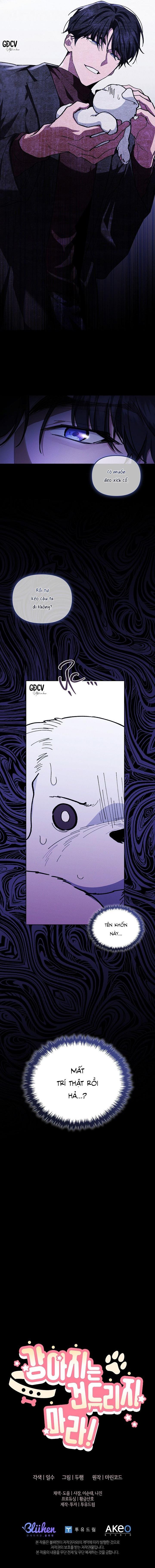 Đọc truyện ĐỪNG CHẠM VÀO CÚN CON CỦA TÔI - Chapter 5