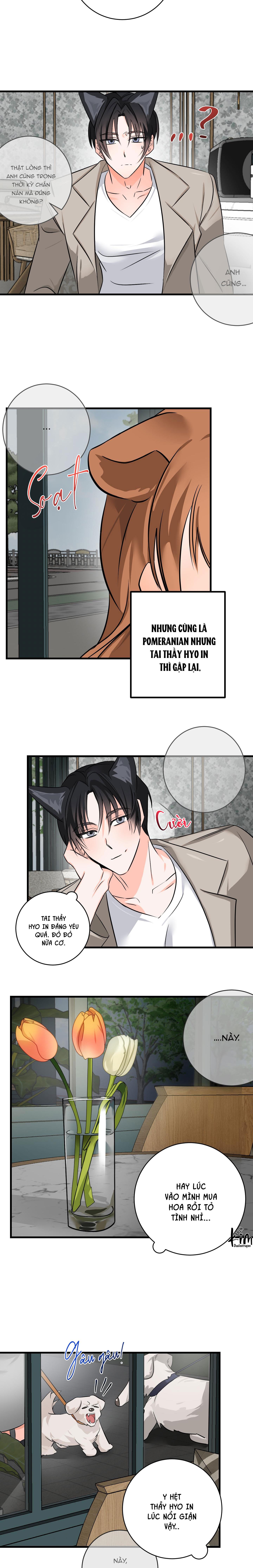 Đọc truyện TUYỂN TẬP BL THÚ NHÂN VÀ XÚC TU - Chapter 10.7