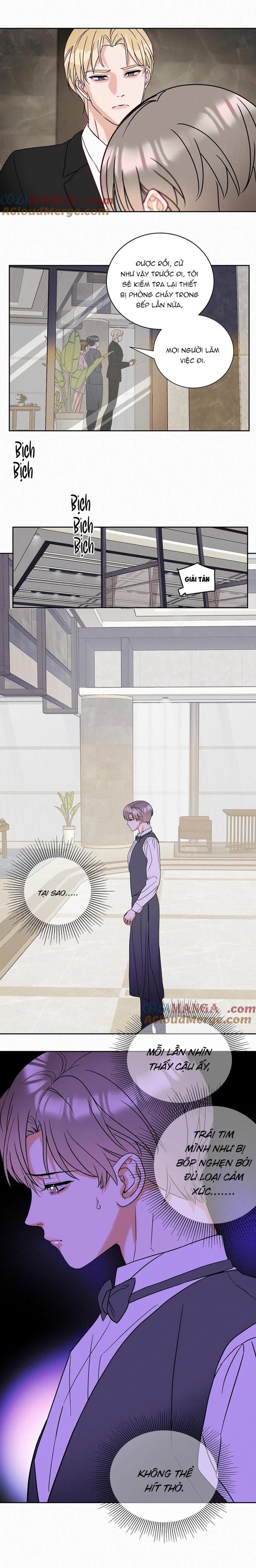 Đọc truyện Anh Trai Rẻ Tiền Của Tôi (END) - Chapter 20