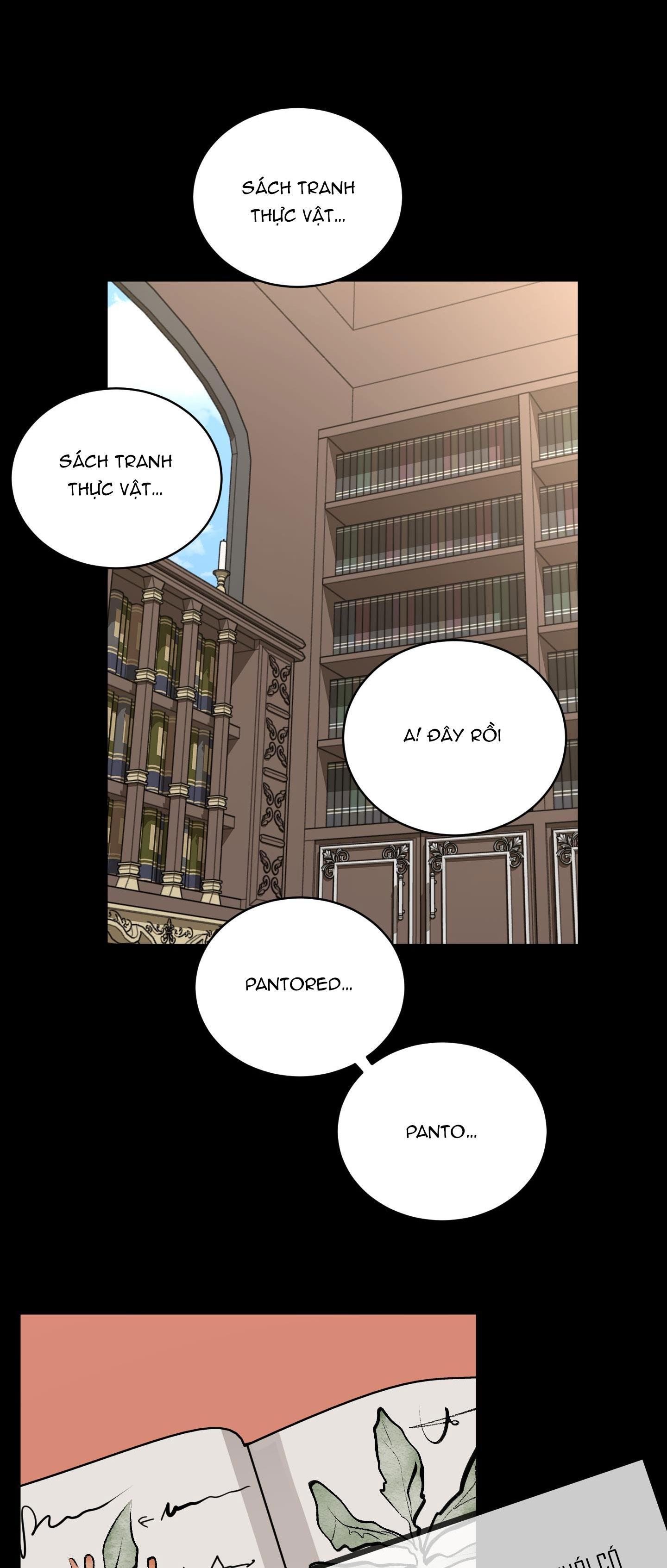 Đọc truyện LOÀI HOA KHÔNG TÊN - Chapter 2