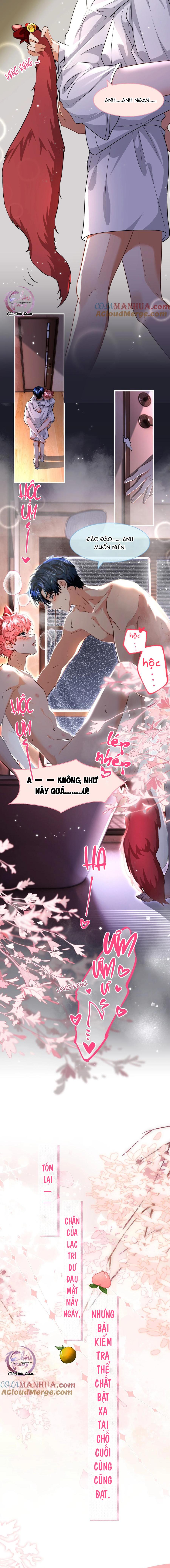 Đọc truyện Tin Tức Tố Nói Chúng Ta Không Có Khả Năng - Chapter 100