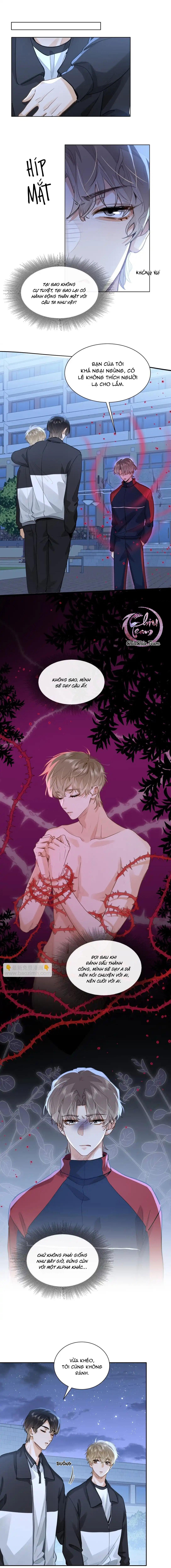 Đọc truyện Tôi thích tin tức tố của cậu - Chapter 48