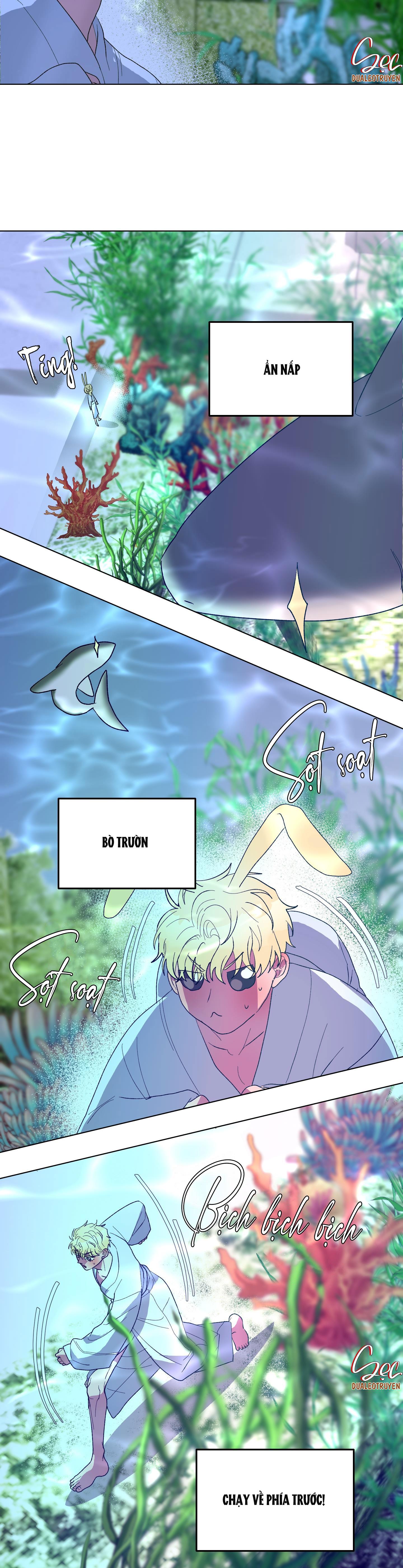 Đọc truyện CÁ MẬP VÀ CÔ DÂU THỎ - Chapter 14