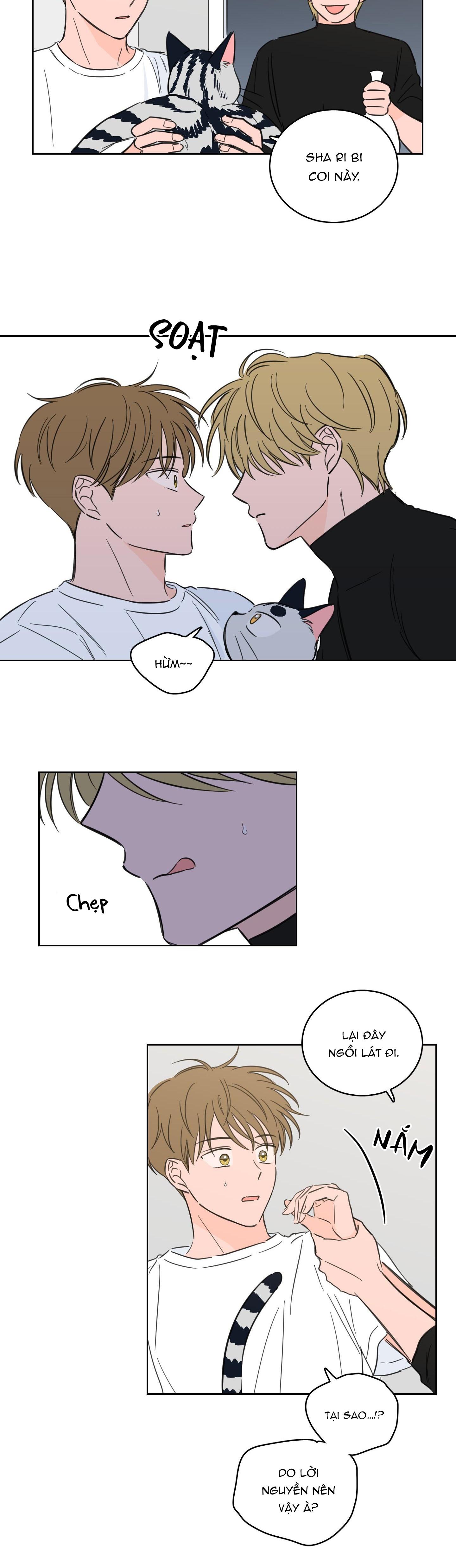 Đọc truyện Mẹo Thuần Hóa Hổ - Chapter 56