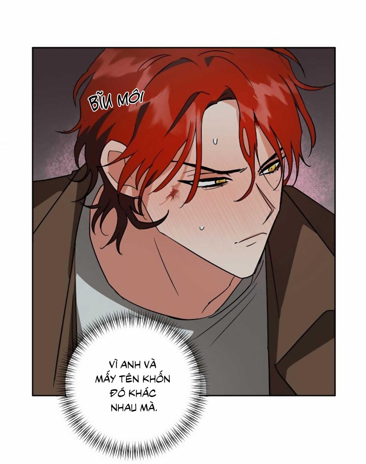 Đọc truyện SÓI GIÀ VÀ CÁO NHỎ - Chapter 4