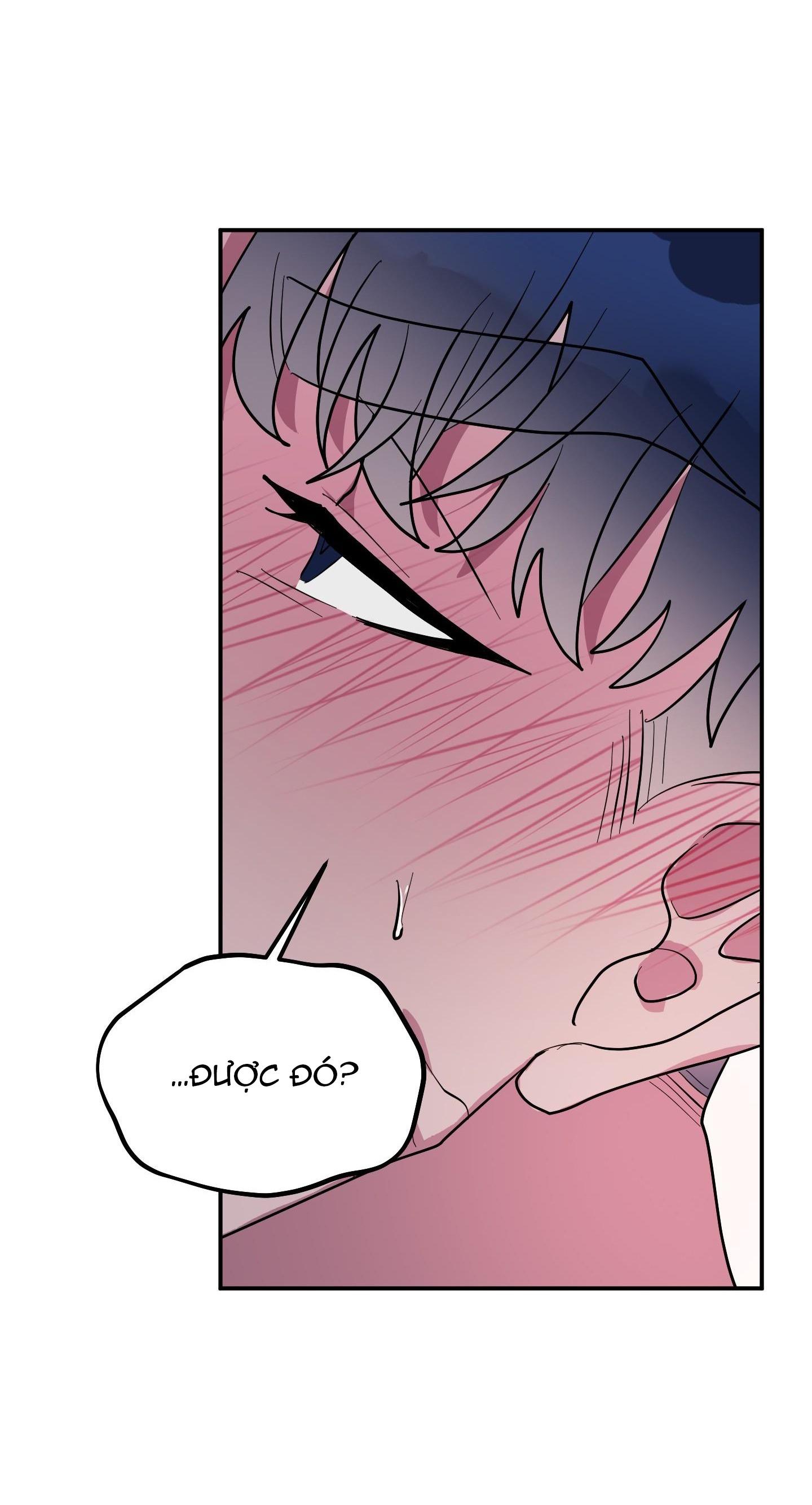 Đọc truyện CÁ MẬP VÀ CÔ DÂU THỎ - Chapter 36