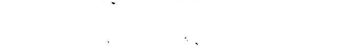 Đọc truyện Không Hơn Không Kém - Chapter 41