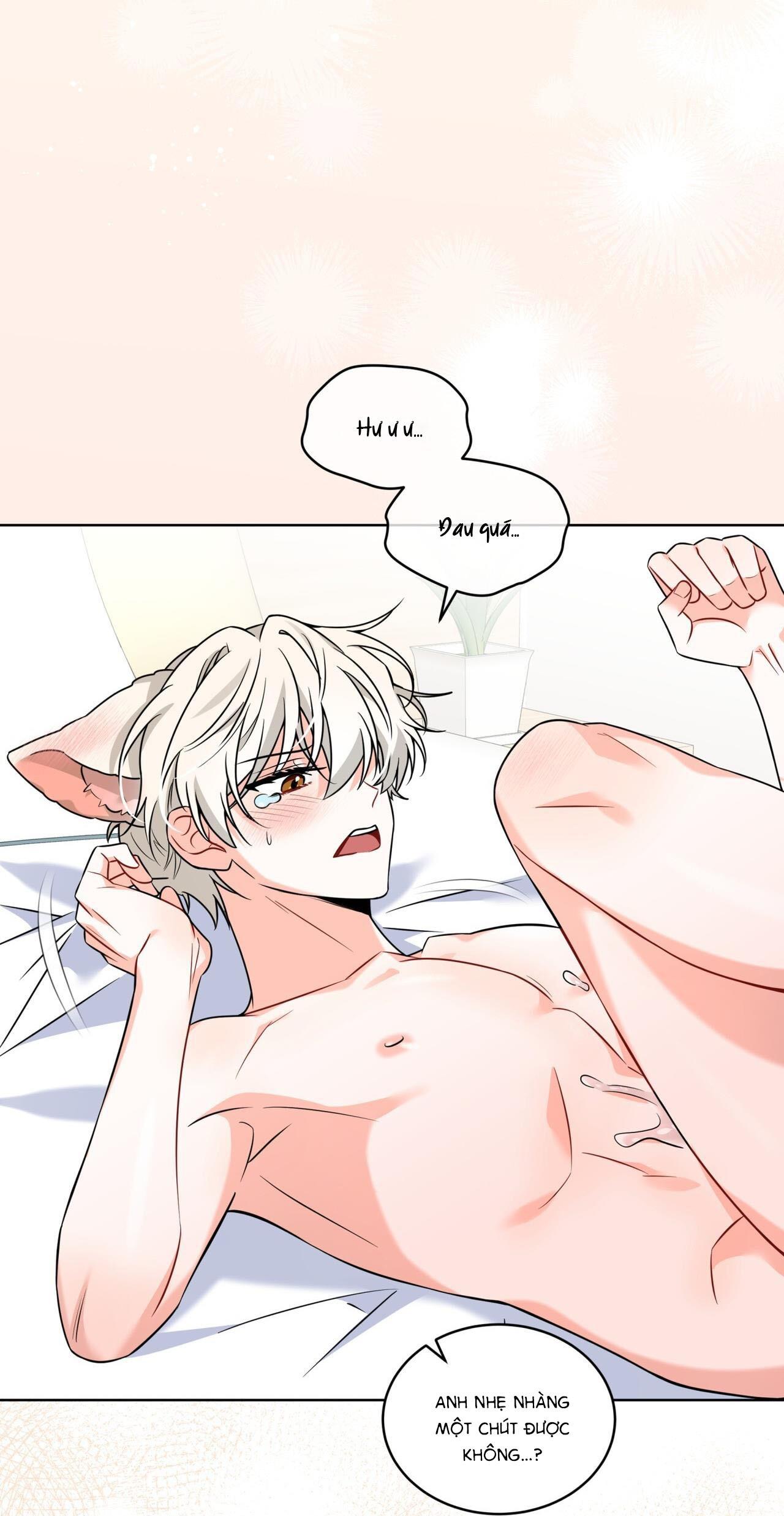 Đọc truyện |DROP| Tiệm đồ uống của cáo Flynn - Chapter 9