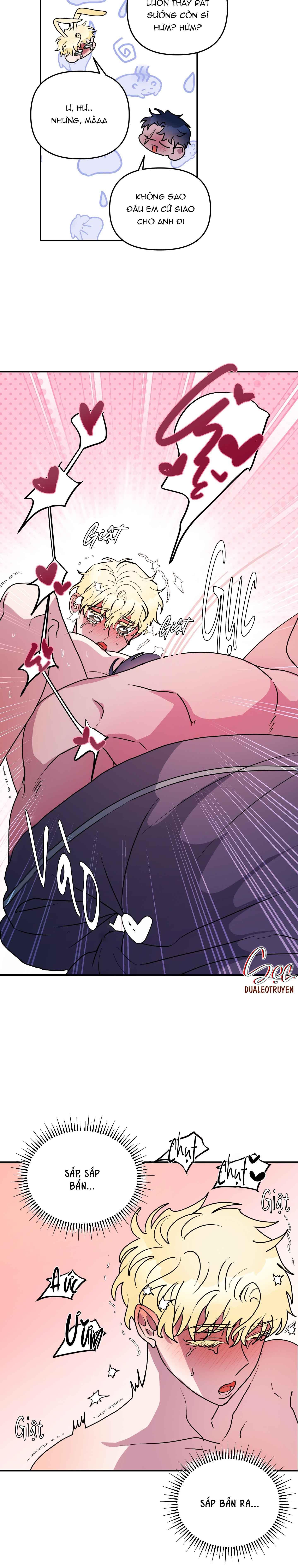 Đọc truyện CÁ MẬP VÀ CÔ DÂU THỎ - Chapter 49