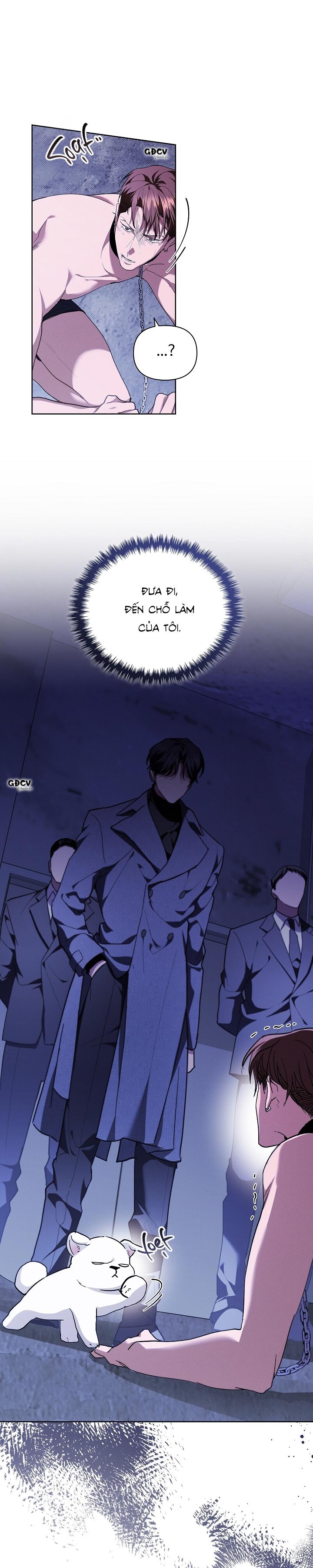 Đọc truyện ĐỪNG CHẠM VÀO CÚN CON CỦA TÔI - Chapter 18