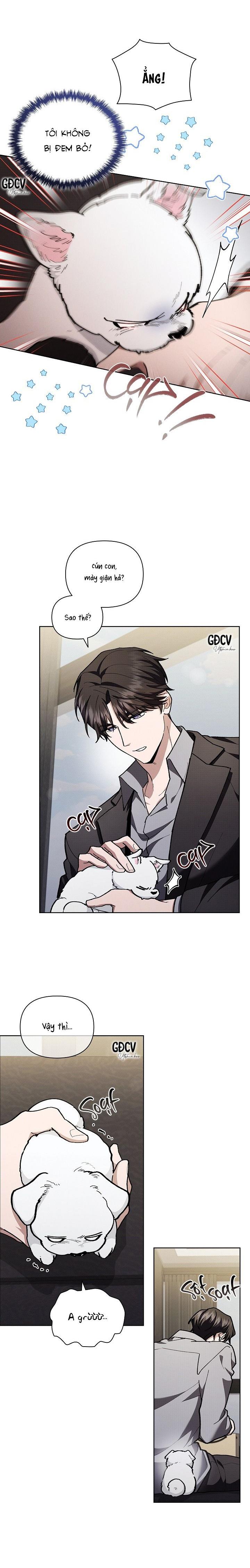 Đọc truyện ĐỪNG CHẠM VÀO CÚN CON CỦA TÔI - Chapter 5