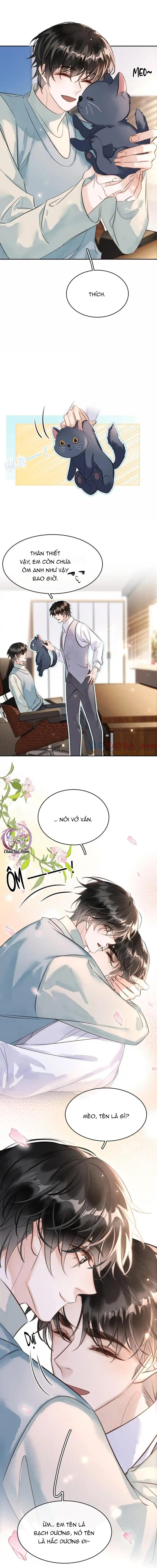 Đọc truyện Không Làm Trai Bao! - Chapter 160