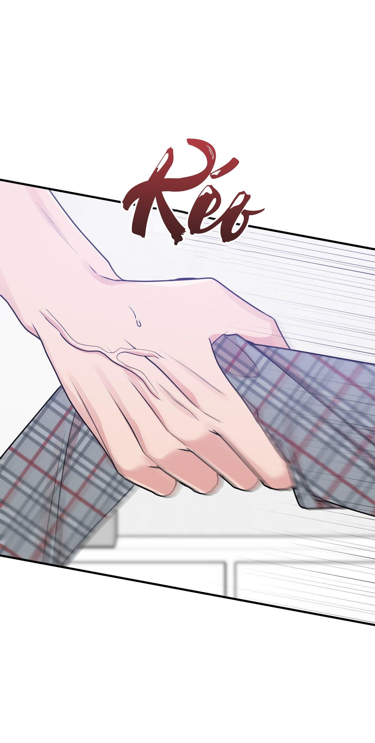 Đọc truyện ĐIỀU 260 BỘ LUẬT HÌNH SỰ - Chapter 5
