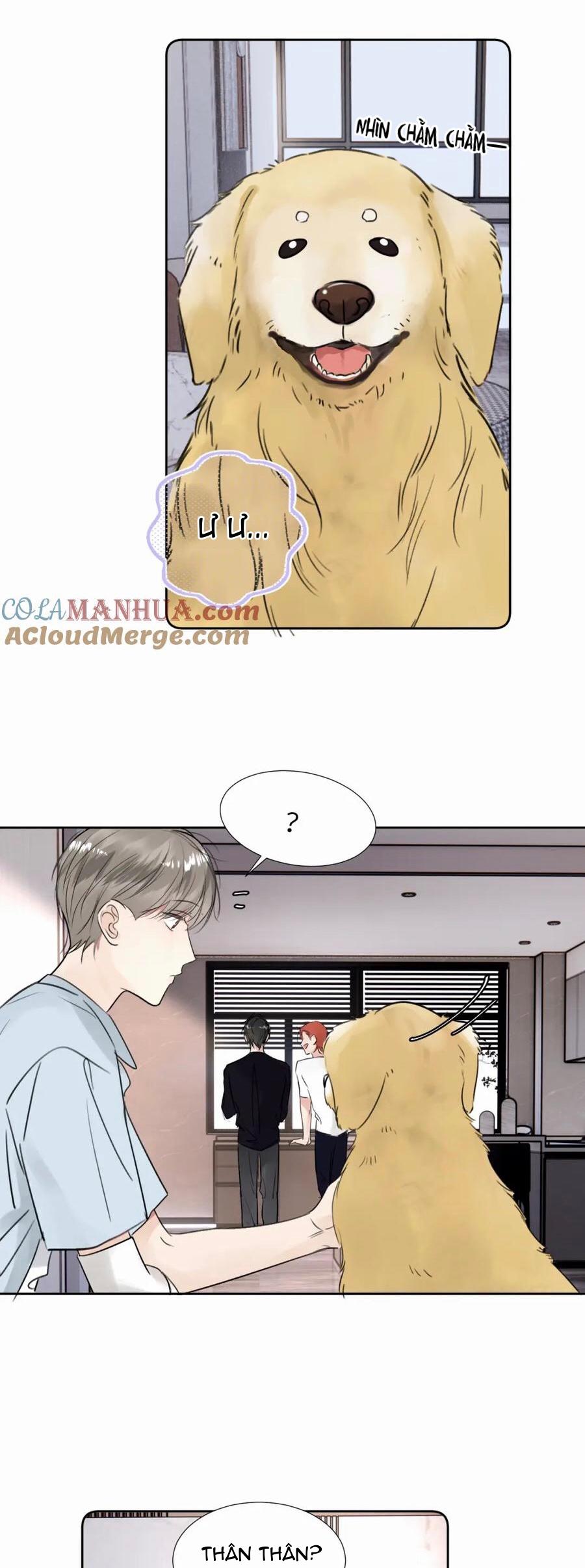 Đọc truyện Chó Chuộc Tội - Chapter 30