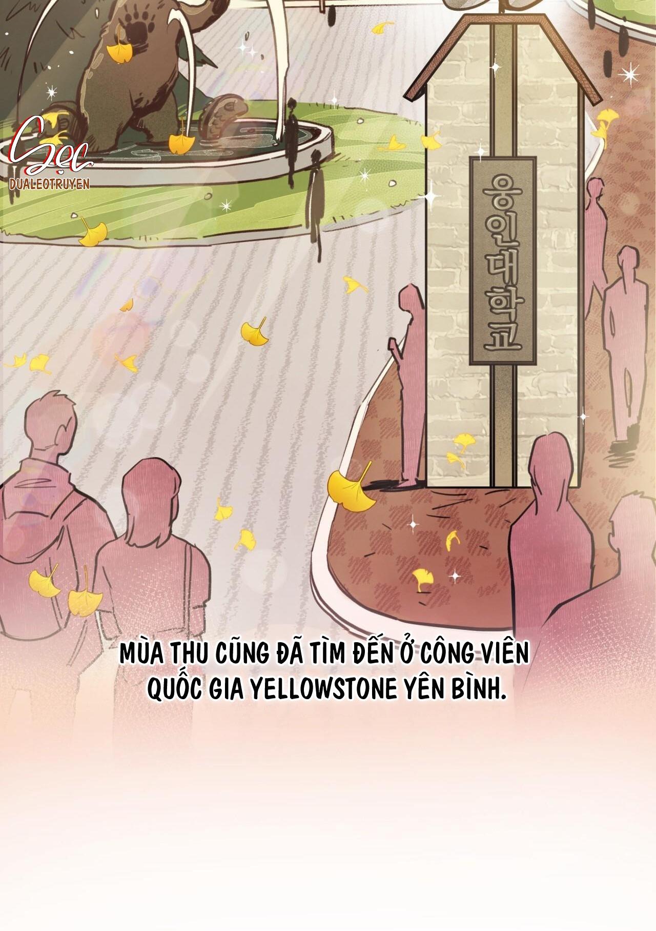 Đọc truyện HONEY BEAR - Chapter 31